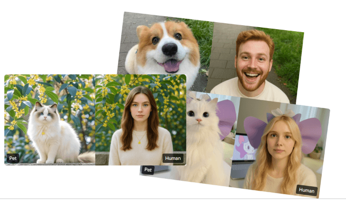 Pet2Human AI Examples
